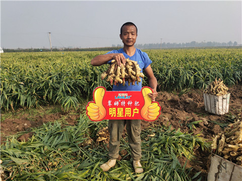 進(jìn)口水溶肥，拉姆拉，翠姆