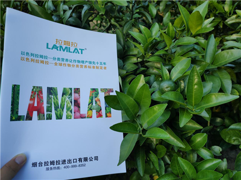 水溶肥，拉姆拉，翠姆