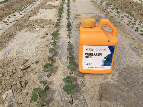 水溶肥，拉姆拉，翠姆