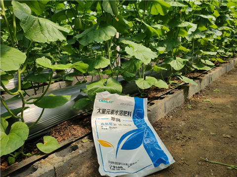 大量元素水溶肥，拉姆拉，翠姆