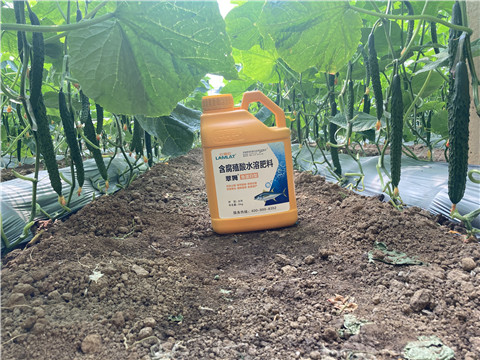 水溶肥，拉姆拉，翠姆