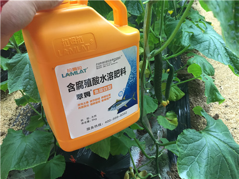 滴灌肥，拉姆拉，翠姆