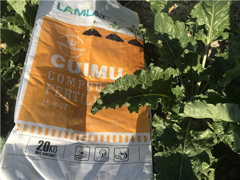 顆粒水溶肥，拉姆拉，翠姆