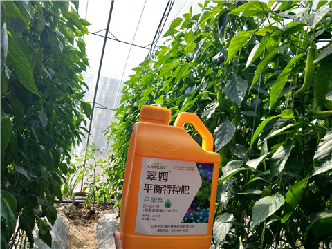 滴灌肥，拉姆拉，翠姆