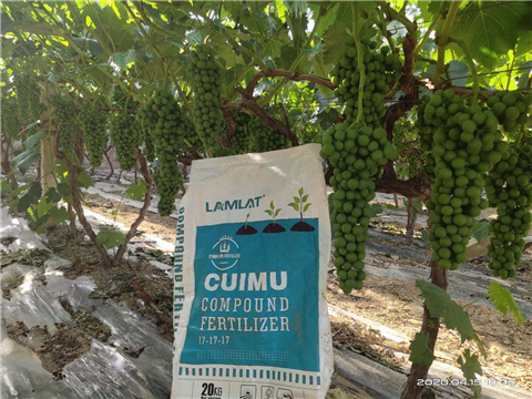 水溶肥，拉姆拉，翠姆