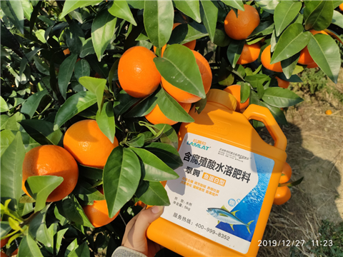 水溶肥，拉姆拉，翠姆