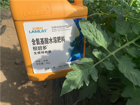 水溶肥，拉姆拉，翠姆