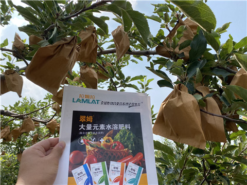 大量元素水溶肥，拉姆拉，翠姆