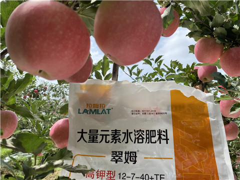 大量元素水溶肥，拉姆拉，翠姆