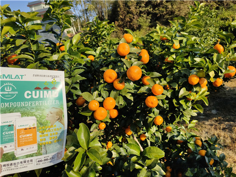 進(jìn)口水溶肥，拉姆拉，翠姆