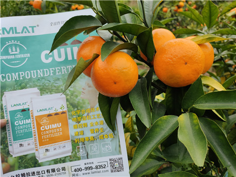 顆粒水溶肥，拉姆拉，翠姆