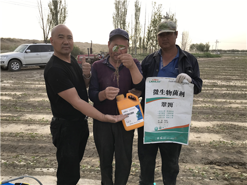 水溶肥，拉姆拉，翠姆