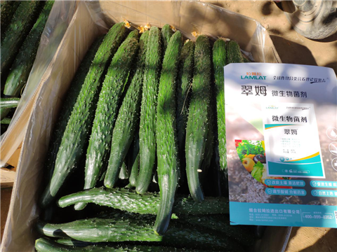 微生物菌劑，拉姆拉，翠姆