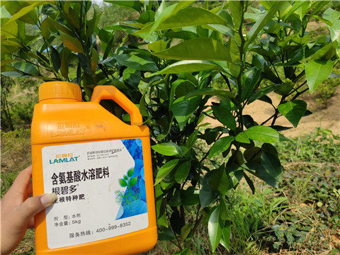 沖施肥，拉姆拉，翠姆