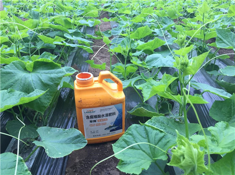 作物施肥管理，拉姆拉，翠姆