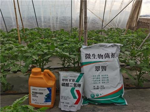 水溶肥，拉姆拉，翠姆