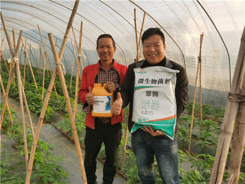 水溶肥，拉姆拉，翠姆