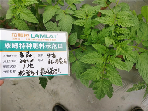 水溶肥，拉姆拉，翠姆