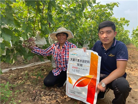 大量元素水溶肥，拉姆拉，翠姆