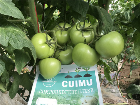 水溶肥，拉姆拉，翠姆