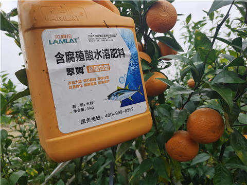 水溶肥，拉姆拉，翠姆