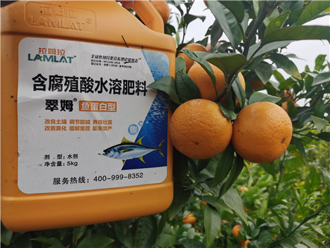 水溶肥，拉姆拉，翠姆