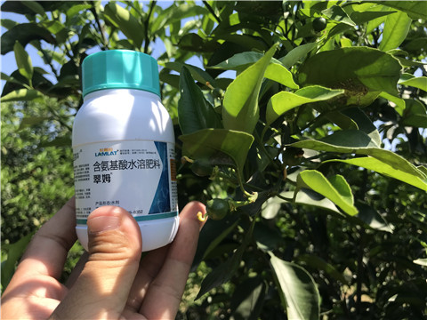 葉面肥，拉姆拉，翠姆