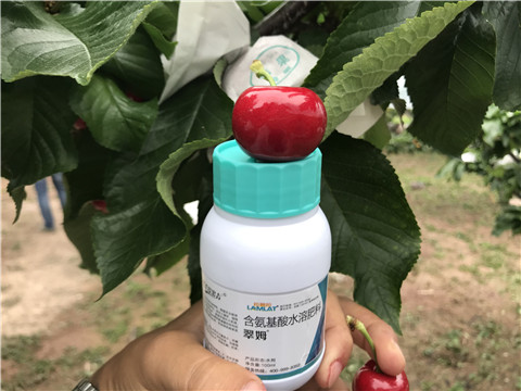 水溶肥，拉姆拉，翠姆