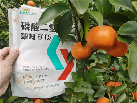 水溶肥，拉姆拉，翠姆