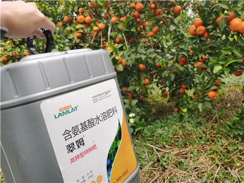 水溶肥，拉姆拉，翠姆