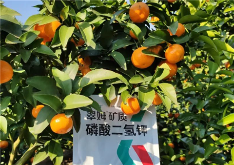 磷酸二氫鉀，拉姆拉，翠姆