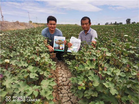 水溶肥，拉姆拉，翠姆