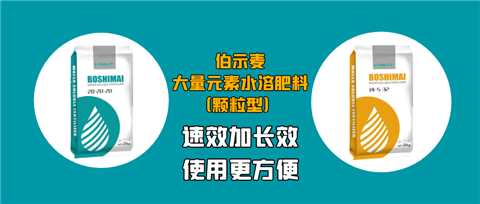 顆粒肥，拉姆拉，翠姆