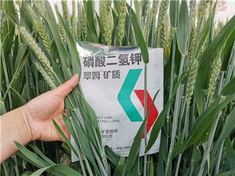 葉面肥，水溶肥，磷酸二氫鉀