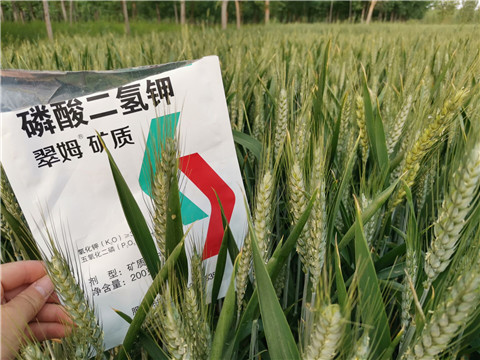 葉面肥，水溶肥，磷酸二氫鉀