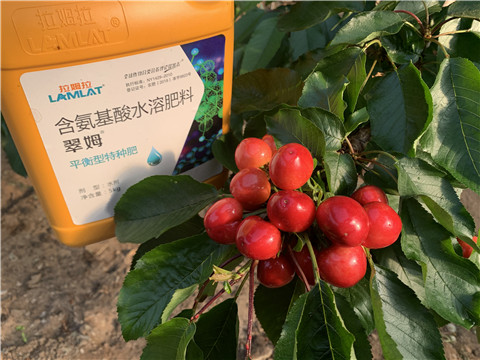 氨基酸水溶肥，拉姆拉，翠姆