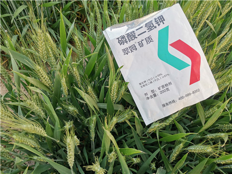 水溶肥，拉姆拉，翠姆