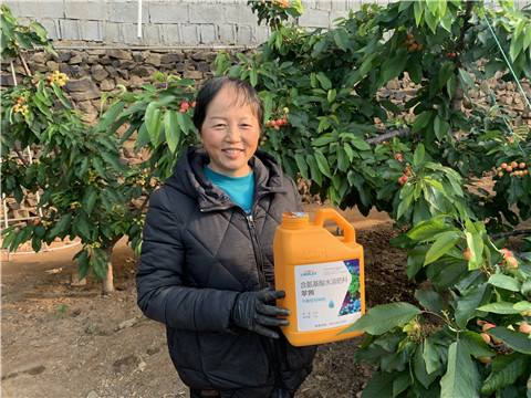 水溶肥，拉姆拉，翠姆