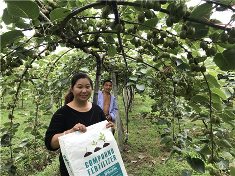 顆粒復(fù)合肥，拉姆拉，翠姆