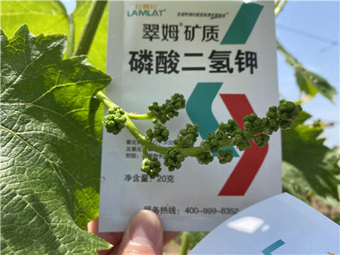 磷酸二氫鉀，拉姆拉，翠姆