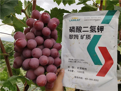 磷酸二氫鉀，拉姆拉，翠姆