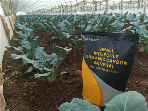 小分子有機(jī)碳，拉姆拉，翠姆