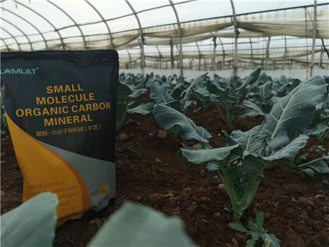 小分子有機(jī)碳，拉姆拉，翠姆