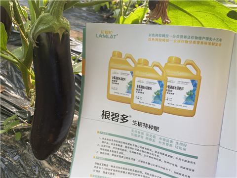 水溶肥，拉姆拉，翠姆