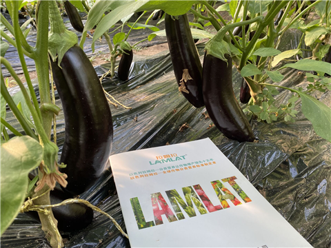 水溶肥，拉姆拉，翠姆