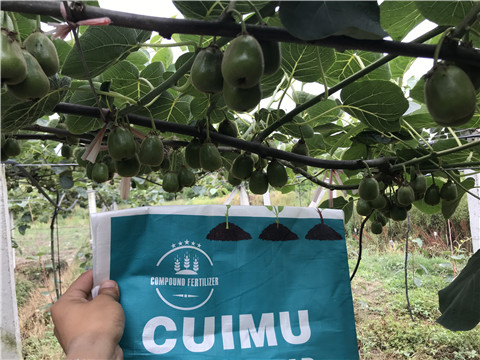 顆粒水溶肥，拉姆拉，翠姆