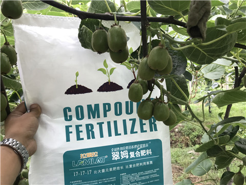 顆粒水溶肥，拉姆拉，翠姆