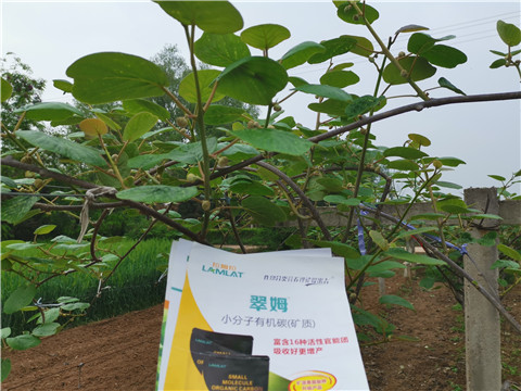 小分子有機(jī)碳，拉姆拉，翠姆