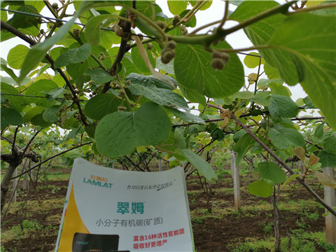 小分子有機(jī)碳，拉姆拉，翠姆