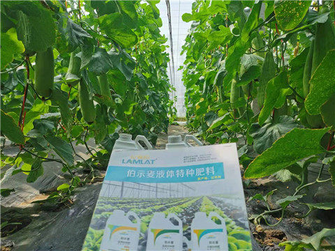 水溶肥，拉姆拉，翠姆